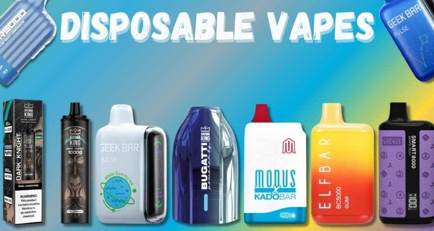 The Best Disposable Vape Brands of 2024 | Smokers Heap