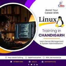 Linux Course in Chandigarh: Master the Operating System of the Future