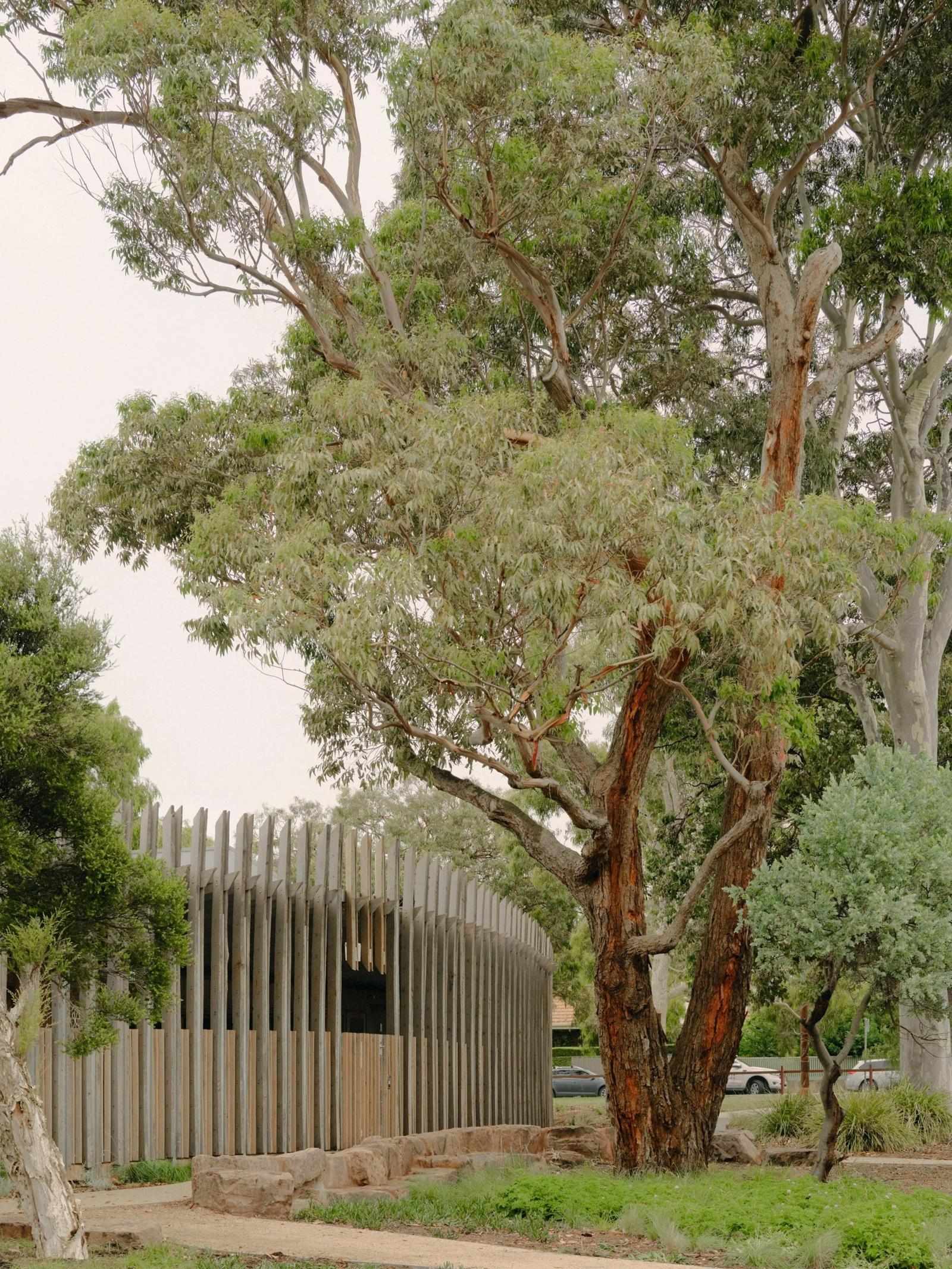 The Secret to Melbourne’s Most Beautiful Gardens? Local Experts Who Understand the Landscape