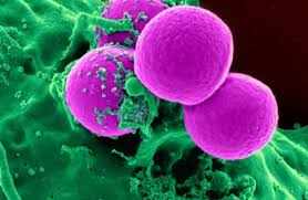 The Future of Immunoassays in Latin America: Trends and Predictions