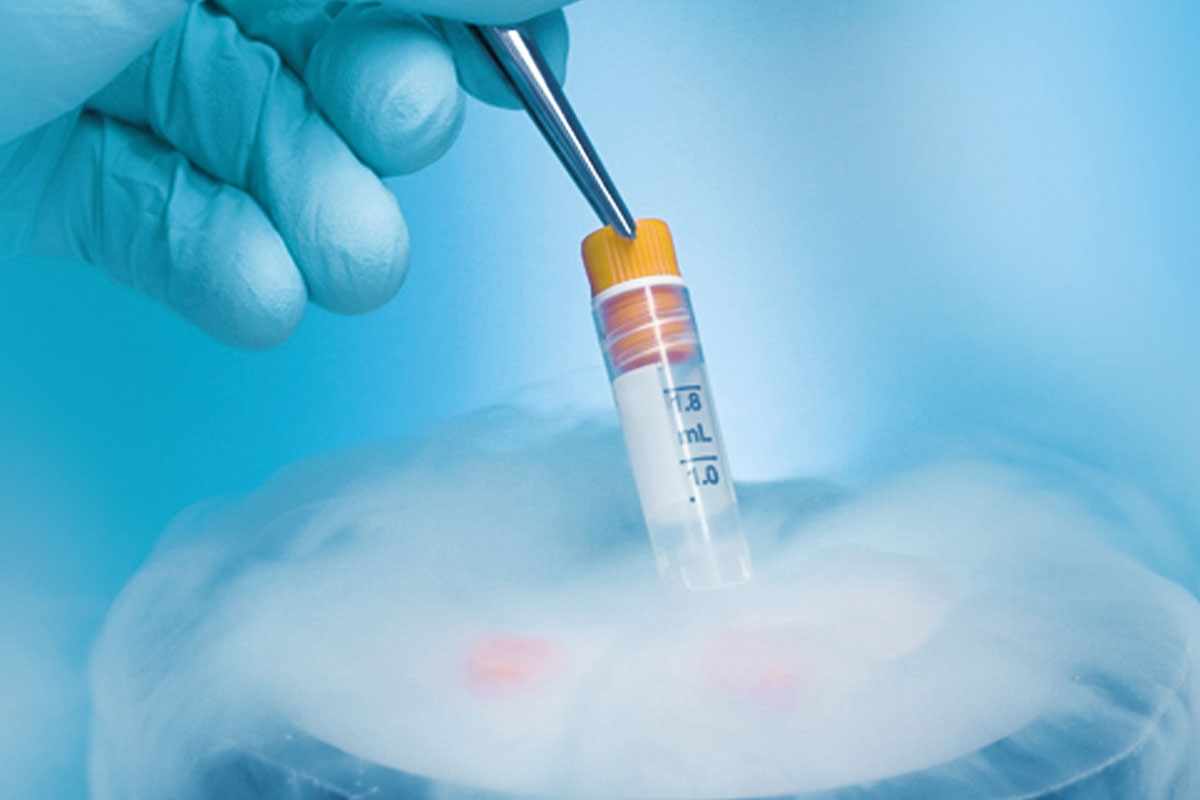 Egg Freezing and IVF: Can Freezing Eggs Improve Their Quality?