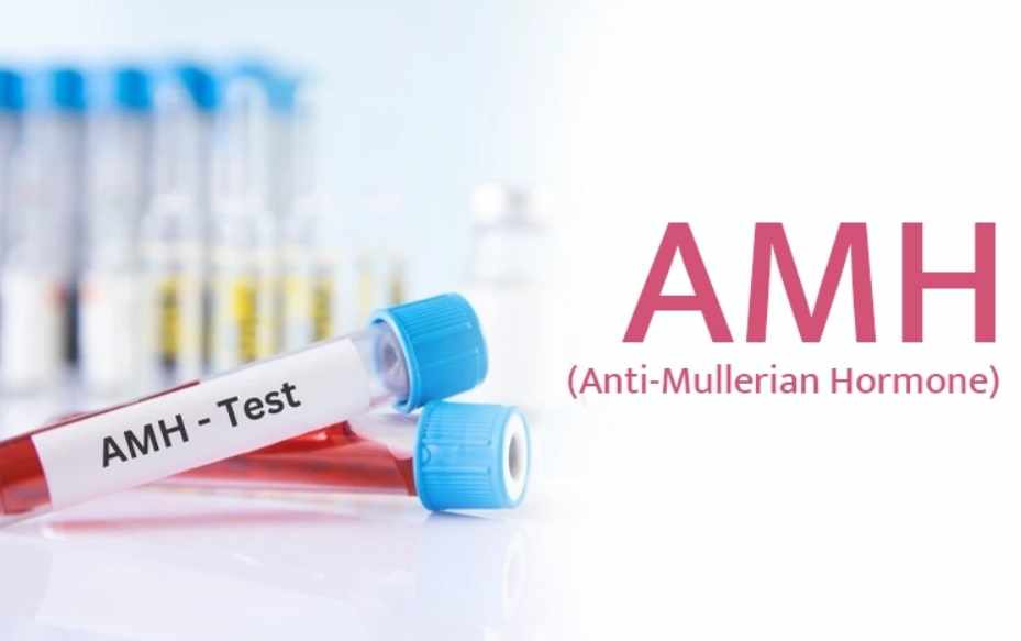 What Is a Good AMH Level for IVF Success?