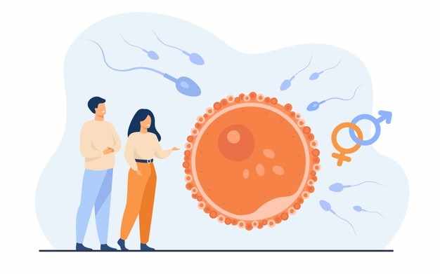 What is the IVF Treatment Procedure? A Step-by-Step Guide