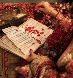 ⋆˚ ℒ𝒶𝓃𝒶˚⋆ logo