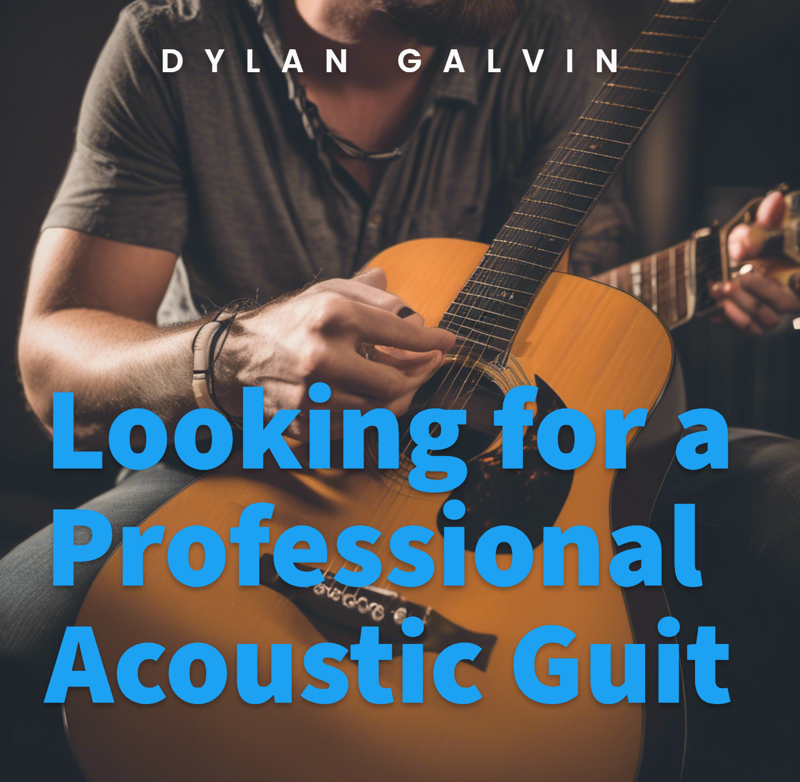 Looking for a Professional Acoustic Guitar Singer or Musician?