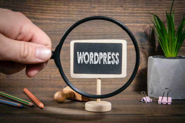 Why Hiring Expert WordPress SEO Services Is the Smartest Move for Your Website