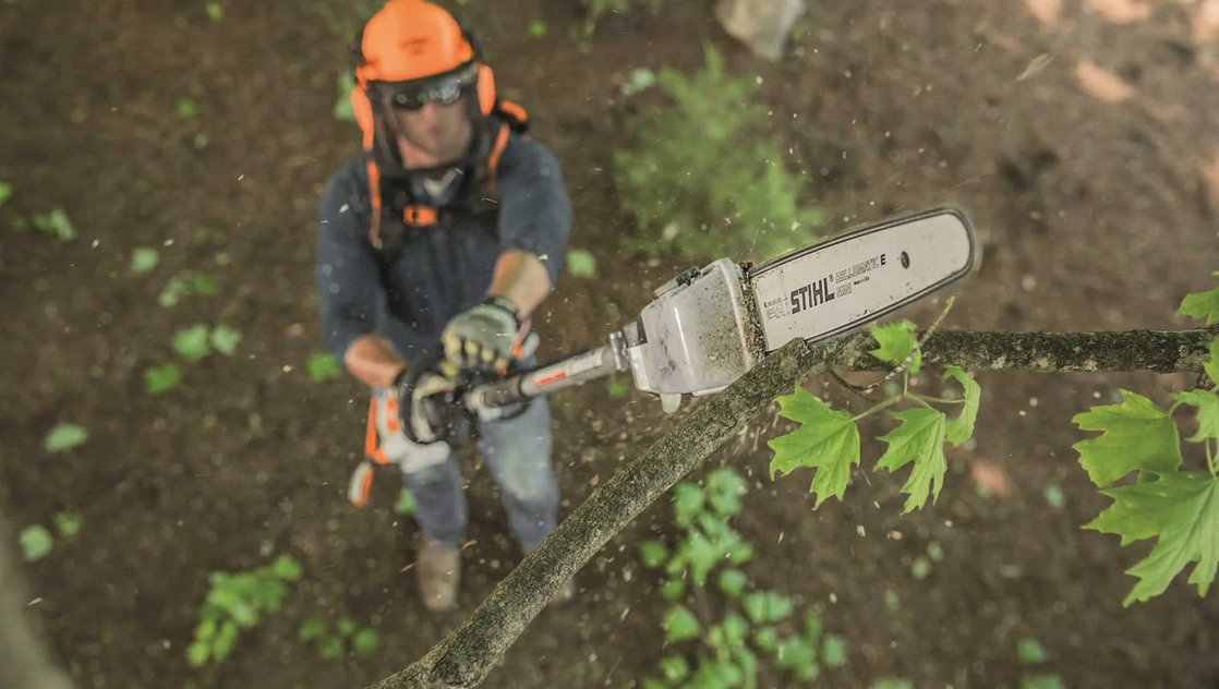 Tree Trimming Auckland