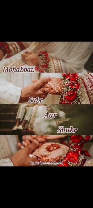 Farheen Salmani logo