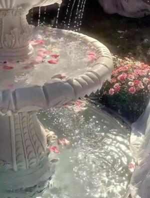 Arianna's POV | 8. Garden