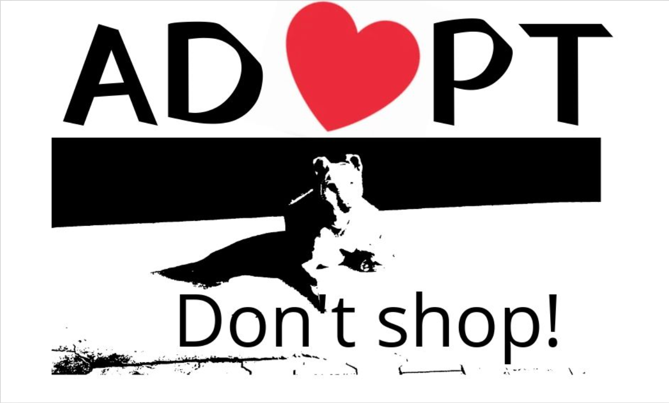 ADOPT, Don't Shop! Don't encourage puppy mills!
