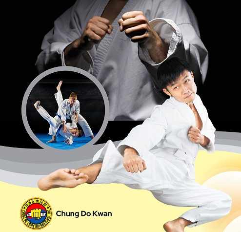 Traditional Martial Arts Values Through Taekwondo Training