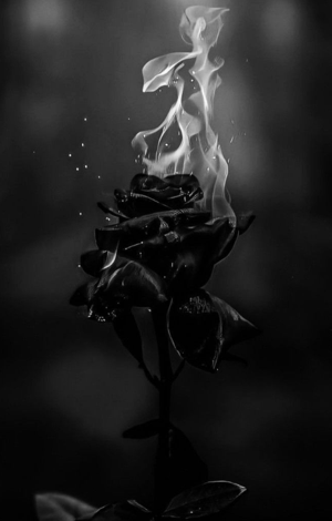 1. BURNING ROSE