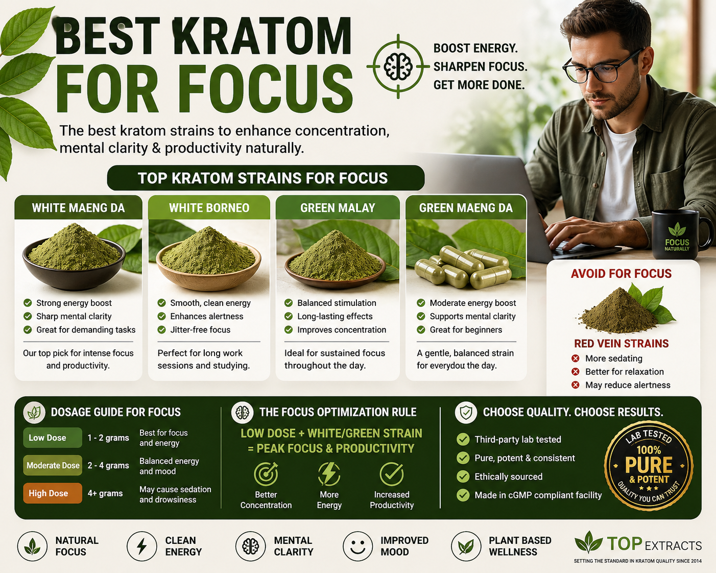 What Strain of Kratom Is Best for Focus? The Complete 2026 Guide to Productivity, Energy & Mental Clarity