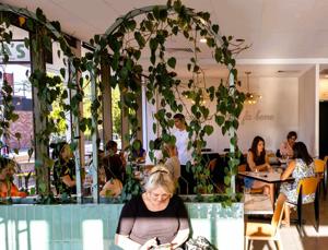 Best Pizza Ringwood: Discover the Ultimate Pizza Destination