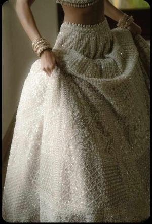 Hot Intimacy In private Jet 🔞