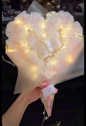 A new member in the house?