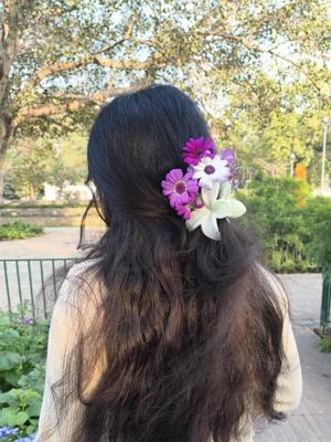 Ay_nur_authory  logo