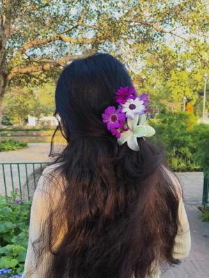 Ay_nur_authory  logo