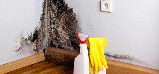 Why you need a construction worker?