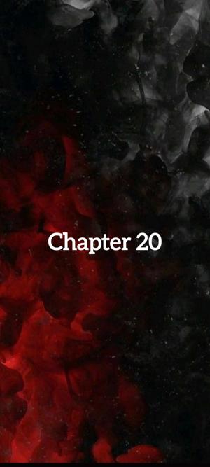 Chapter 20