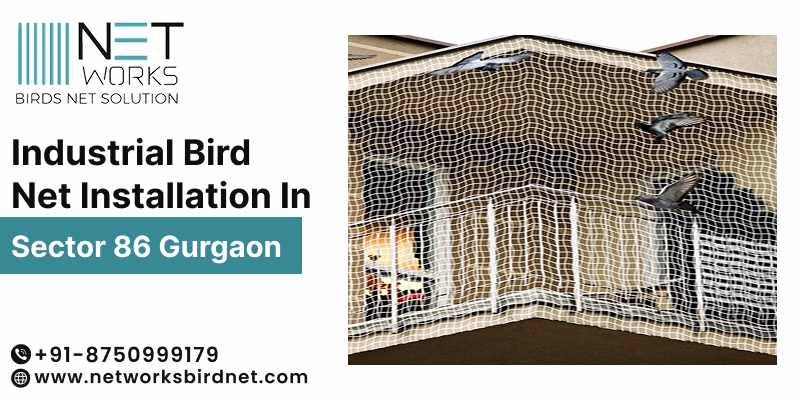 Industrial Bird Net Installation in Sector 86 Gurgaon