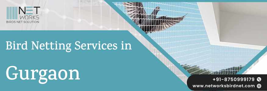 Bird Net Installation in Gurgaon for Balcony