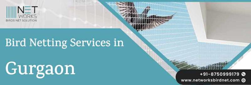 Bird Net Installation in Gurgaon for Balcony