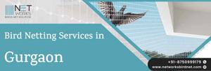 Bird Net Installation in Gurgaon for Balcony – Secure Your Space with Networks Birds Net Solution