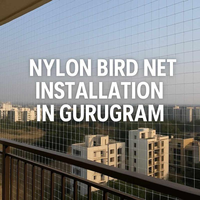Trusted Nylon Bird Net Installation in Gurugram – Call Experts Today