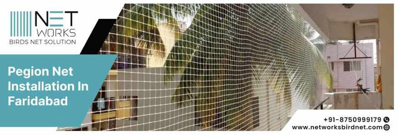 Trusted Services for Pigeon Net Installation in Faridabad | Book Now
