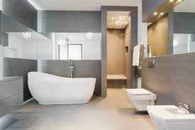 Toilet Bowl