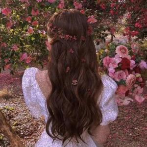 Blossombeauty_53  logo