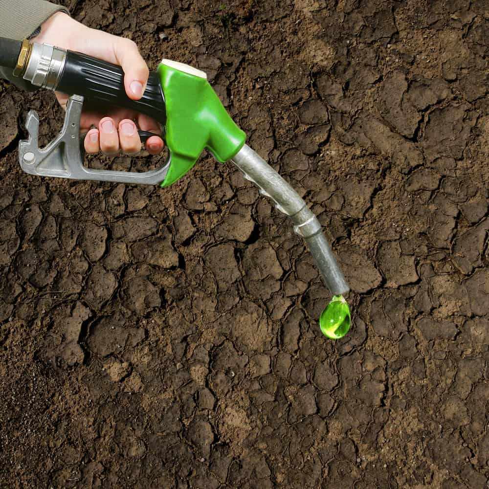 Brazil Biofuels Market Size, Trends, and Strategic Outlook 2025-2032