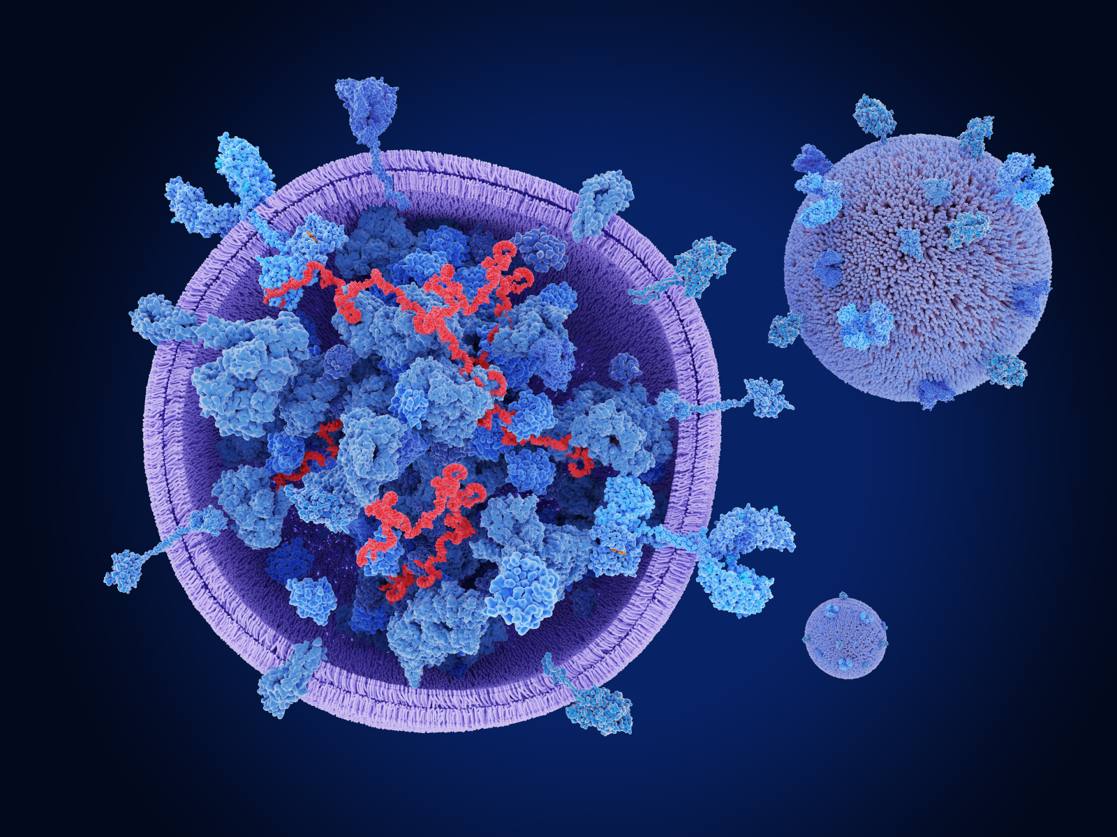 Exosome Therapeutics Market Size, Growth, and Strategic Outlook 2025-2032