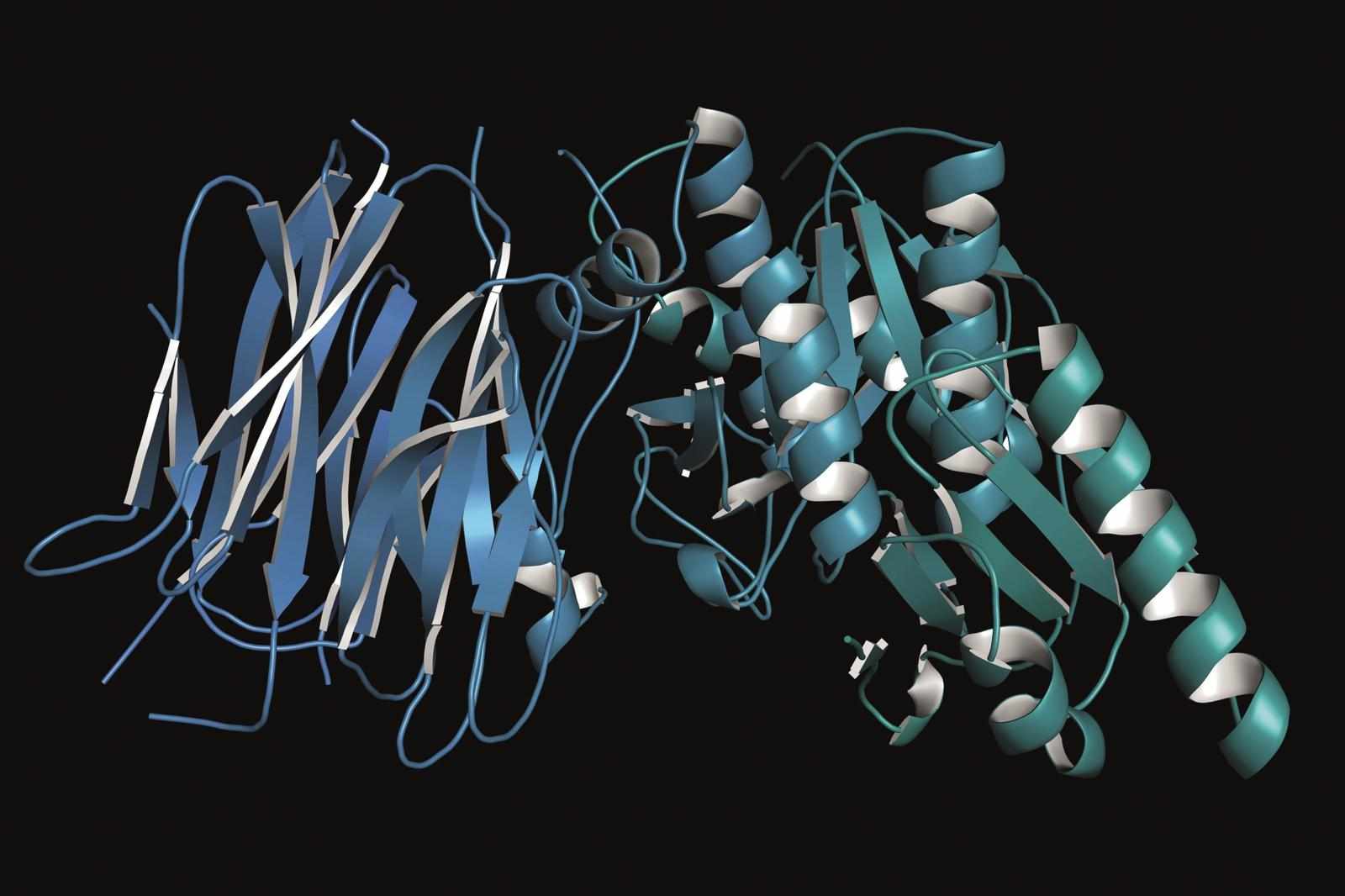 PCSK9 Inhibitors Market Size, Trends, and Strategic Outlook 2025-2032