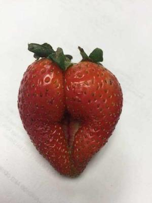 Bathroom Fruit