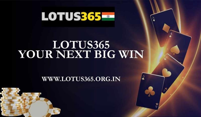 Cricket Fever! Get Ready for Action-Packed Betting with Lotus365