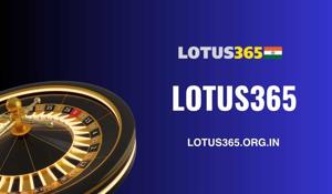 Top Features of Lotus365 That Make It a Favorite for Online Gamers
