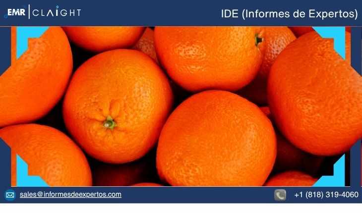 Analisis del Mercado de Naranja: Tendencias, Perspectivas y Oportunidades de Crecimiento
