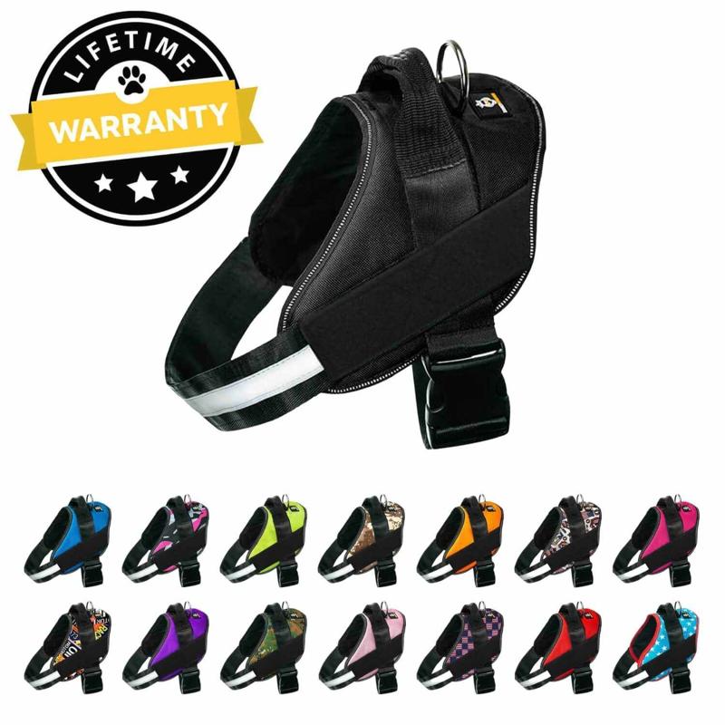 Discover Premium Dog Accessories at Doggykingdom - Shop Online for Quality Pet Products