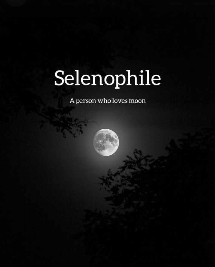 SELENOPHILE 🌙