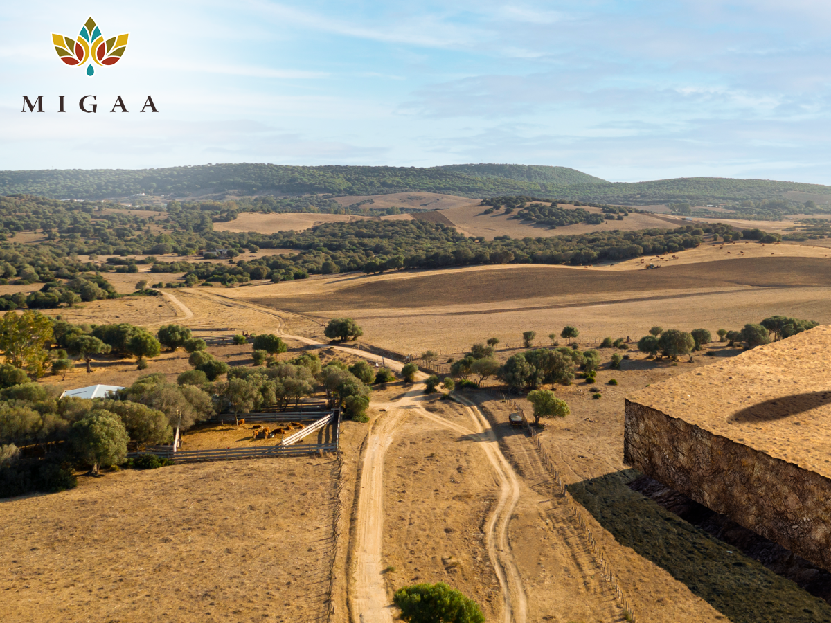 Discover Premium Land to Buy in Kenya at Migaa Golf Estate – A Lifestyle of Luxury & Nature 🌿🏡⛳