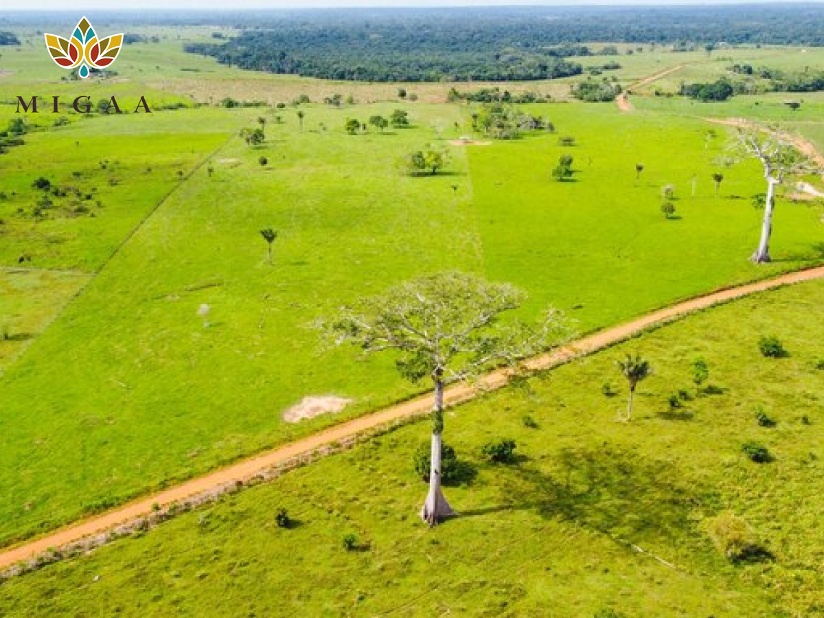 Premium Plots for Sale in Nairobi – Sustainable Living at Migaa Golf Estate 🌿🏡