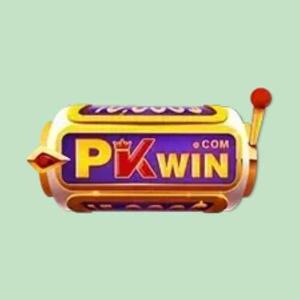 PKWIN