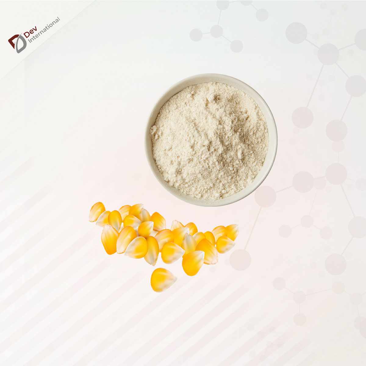 Best Maize/Corn Starch Manufacturer & Supplier in Russia offering food-grade, industrial-grade starch