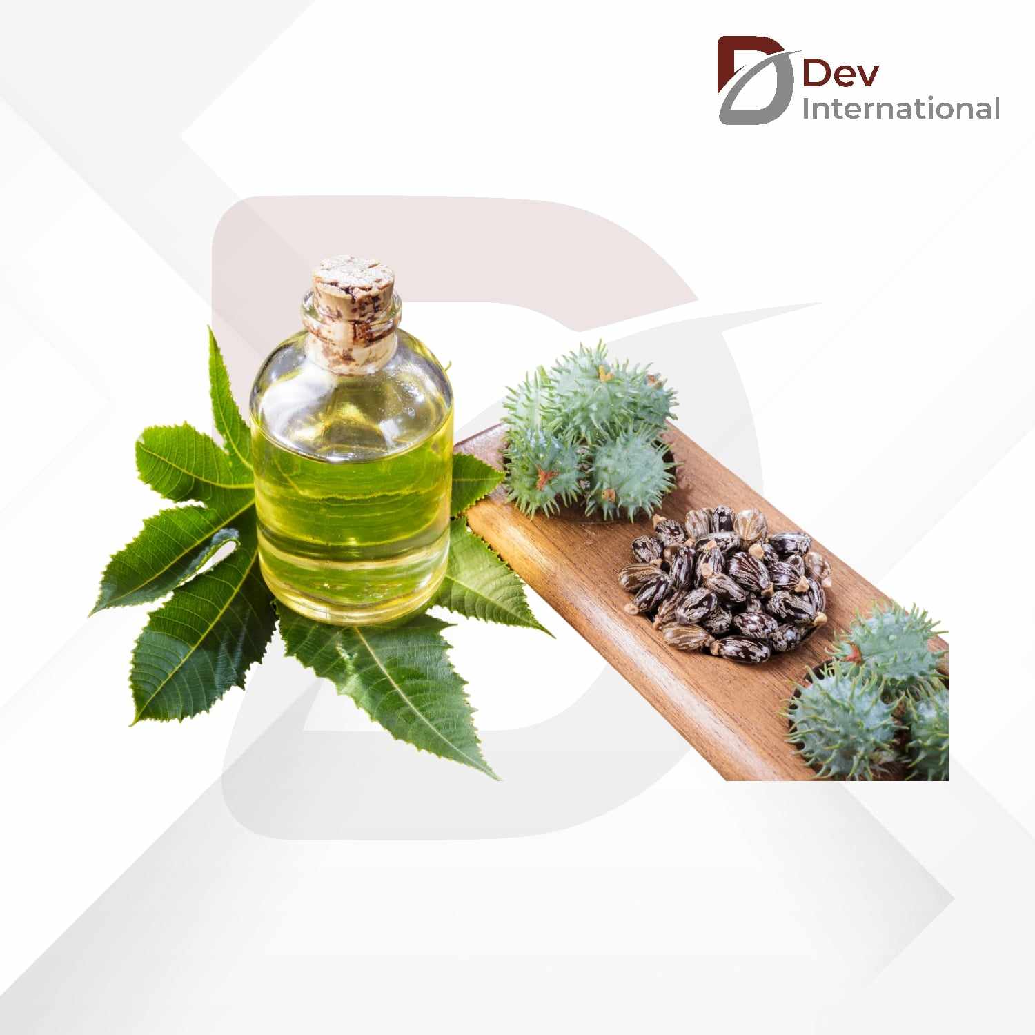 Best Castor Oil Manufacturers in India