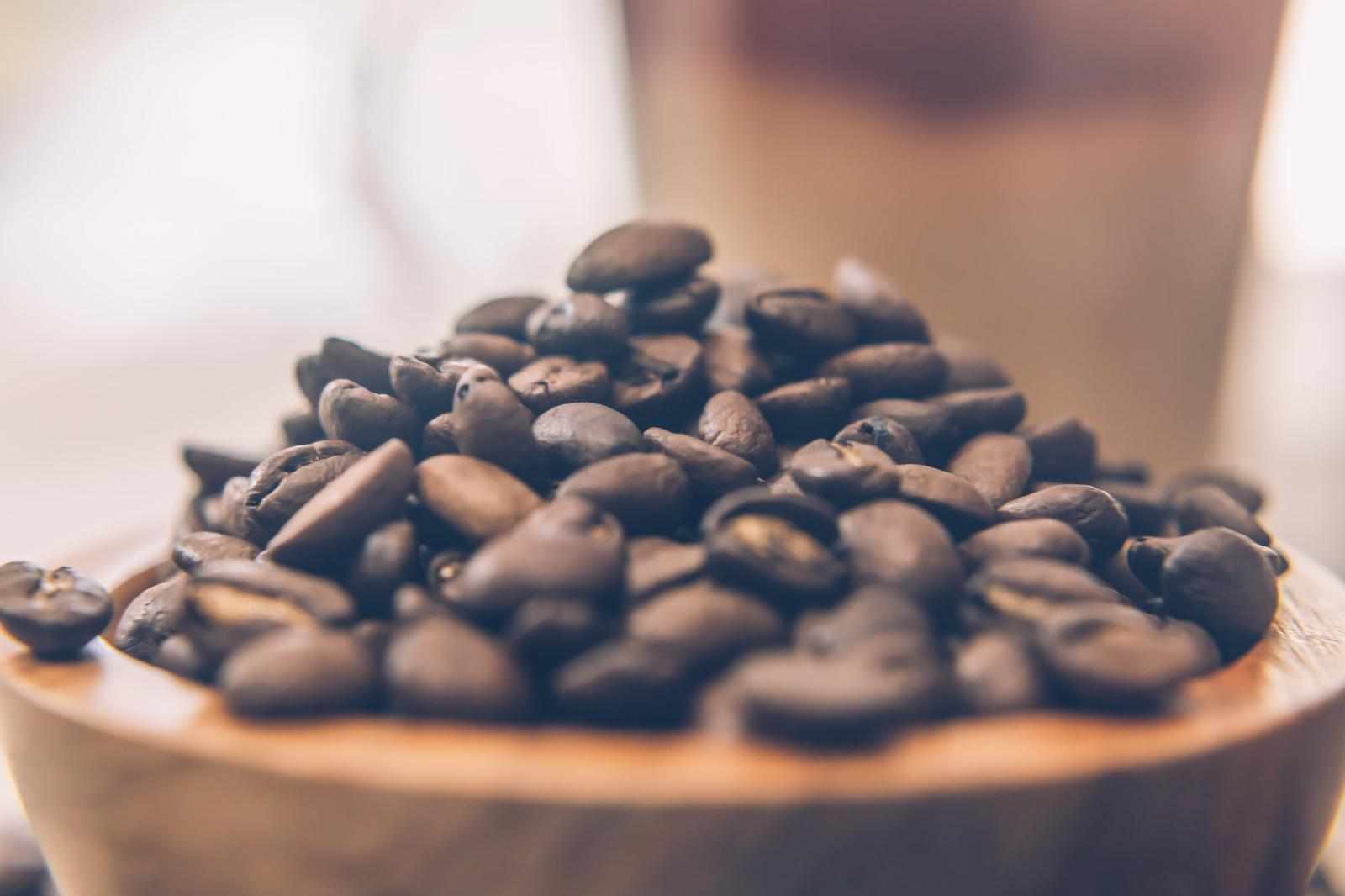 fresh roasted coffee beans online | rajadocoffee.com