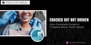 Cracked but Not Broken: Your Complete Guide to Chipped Molar Tooth Repair