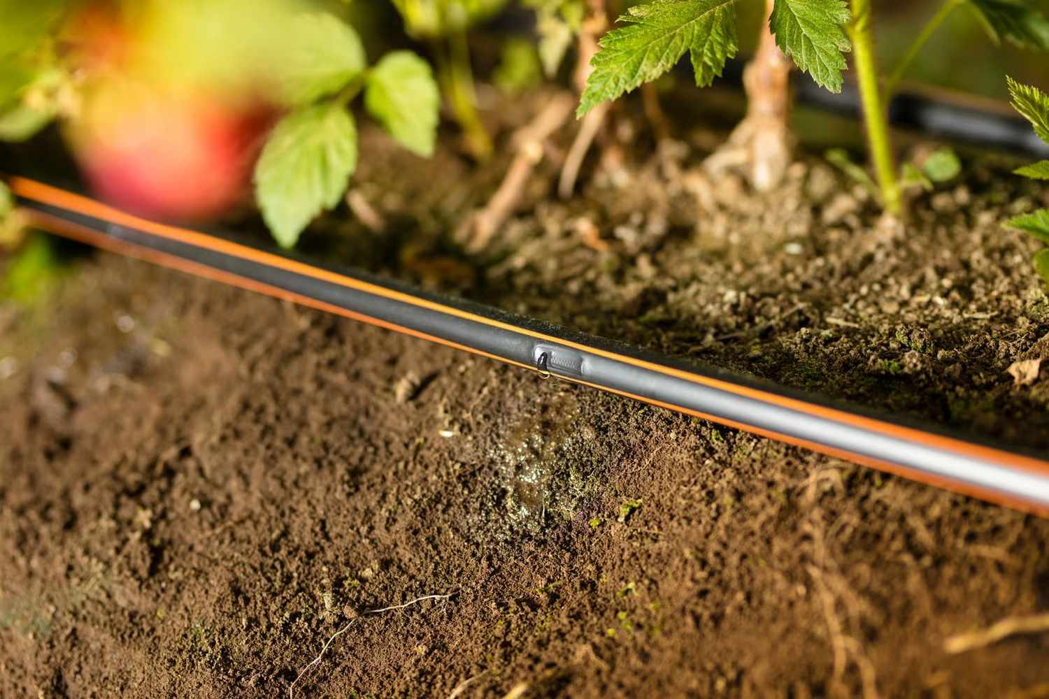 Best Drip Irrigation Pipe in India – High-Quality Farming Solutions with Netafim