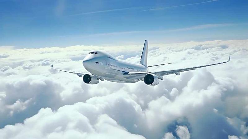 United Airlines LAN Terminal  +1-888-839-0502
